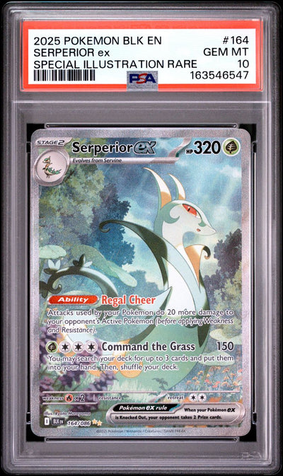Pokémon Serperior EX #164 Black Bolt Special Illustration Rare 2025 English PSA 10 Graded Trading Card — slab front and PSA certification label, cert 163546547