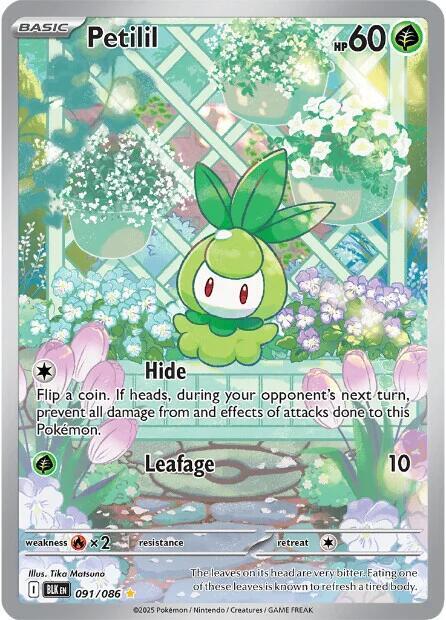 Pokémon Petilil #091/086 SV: Black Bolt Illustration Rare Holofoil Near Mint English Trading Card — catalog front, TCGplayer SKU 8815822