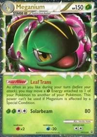 Pokémon Meganium #HGSS08 HGSS Promos Prime Holofoil Lightly Played Trading Card