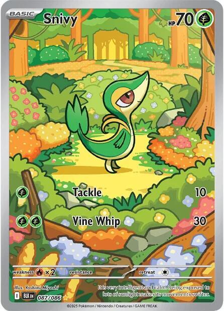 Pokémon Snivy #087/086 SV: Black Bolt Illustration Rare Holofoil Near Mint Trading Card