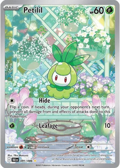 Pokémon Petilil #091/086 SV: Black Bolt Illustration Rare Holofoil Near Mint English Trading Card — catalog front, TCGplayer SKU 8815822