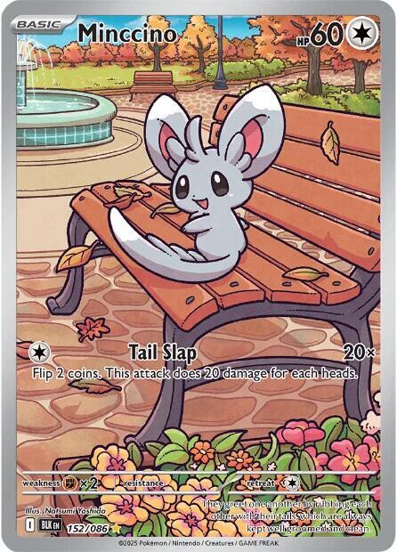 Pokémon Minccino #152/086 SV: Black Bolt Illustration Rare Holofoil Near Mint Trading Card