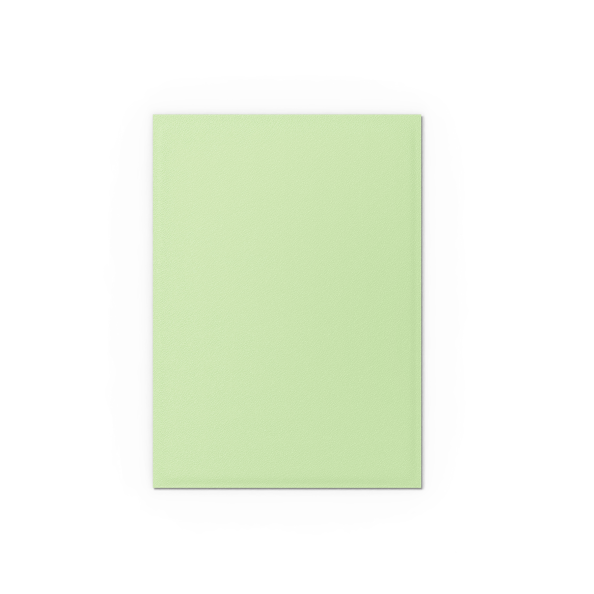 Gooseberry - Pastel Duals - Image 3
