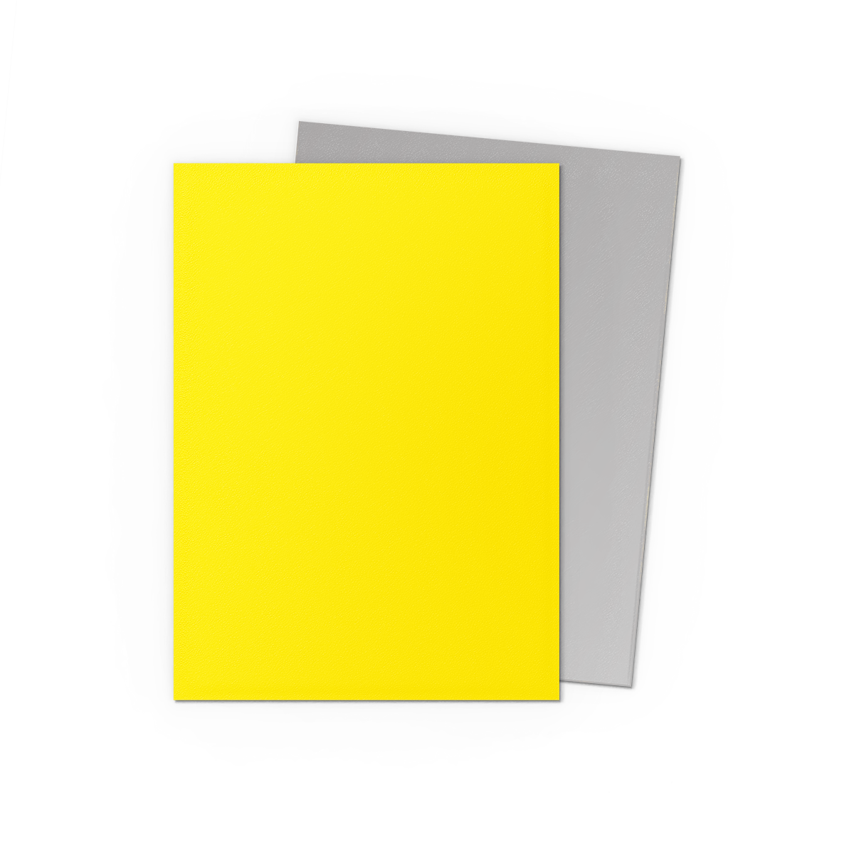 Yellow & Silver - Matte Dual Sleeves - Image 2