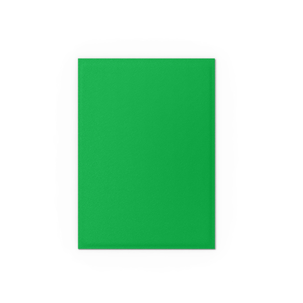 Apple Green & Silver - Matte Dual Sleeves
