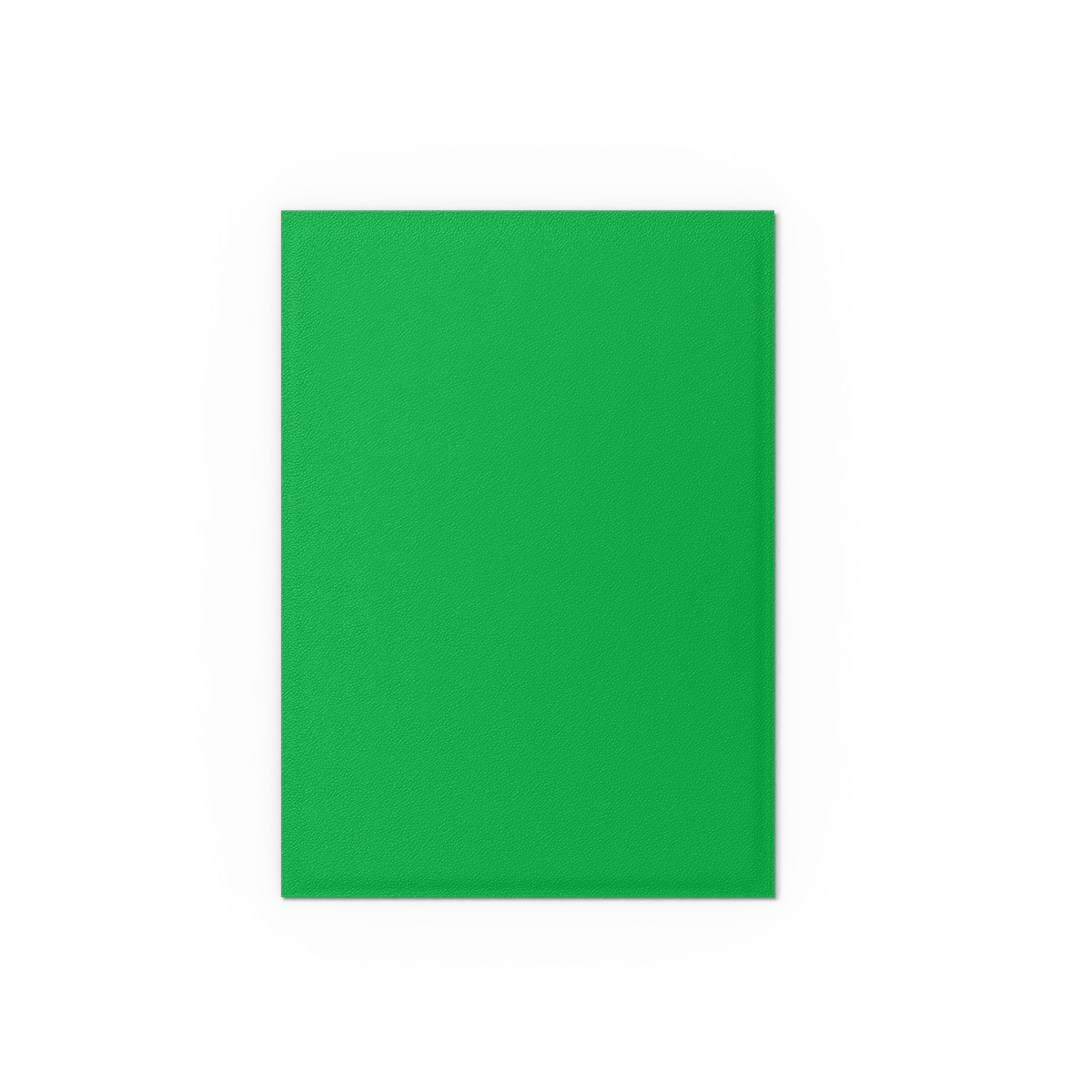 Apple Green & Silver - Matte Dual Sleeves - Image 4