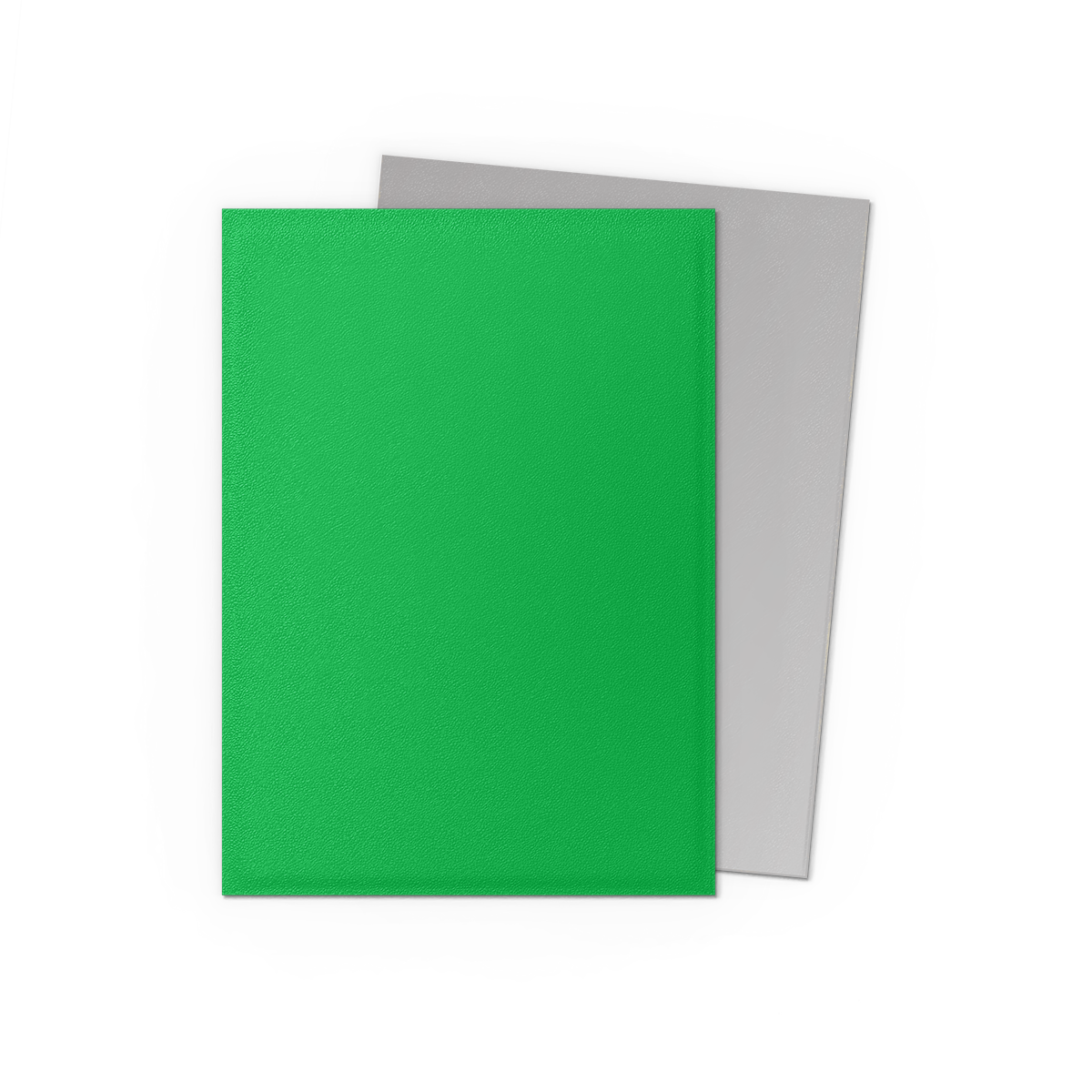 Apple Green & Silver - Matte Dual Sleeves - Image 2