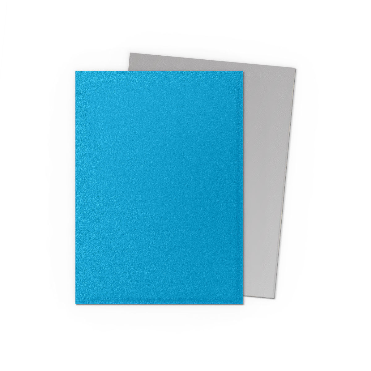 Sky Blue & Silver - Matte Dual Sleeves - Image 2