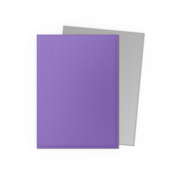 Nebula & Silver - Matte Dual Sleeves