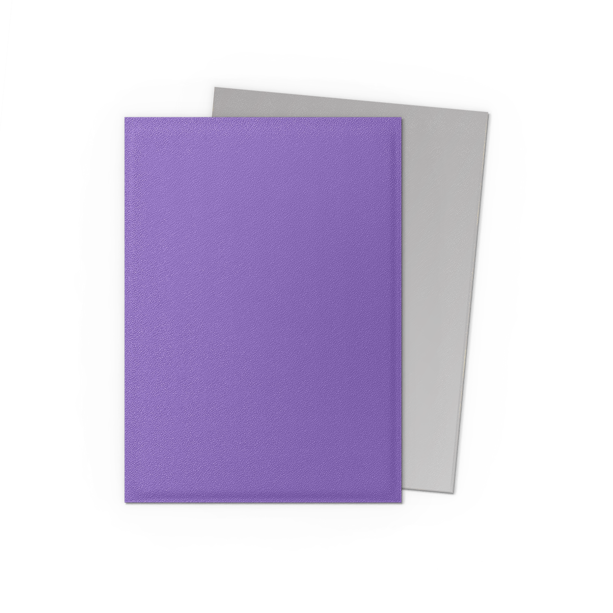 Nebula & Silver - Matte Dual Sleeves - Image 2